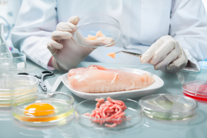 Formation HACCP Sécurité des denrées alimentaires