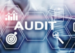 audit-qse