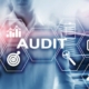 audit-qse
