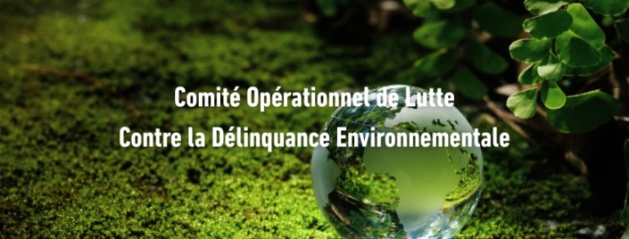operation-delinquance-environnementale operation-delinquance-environnementale