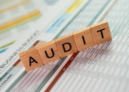 audit-interne-iso-19011